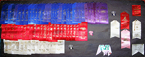 personal awards, ribbons collection