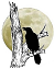 Nayhotze NHT crow and moon logo
