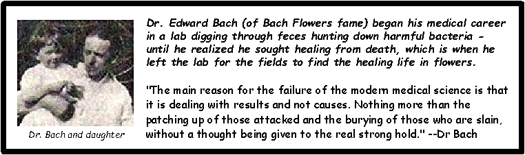 Dr. Edward Bach bio