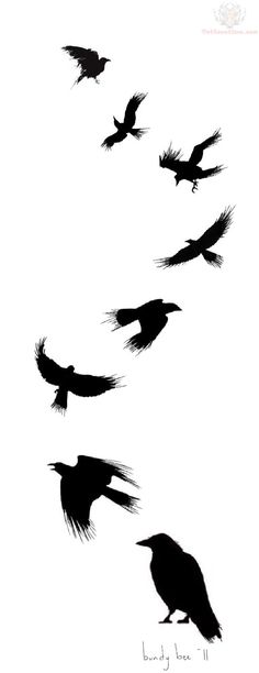 crows in flight